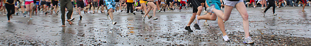 polar plunge