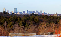 View from Arboretum